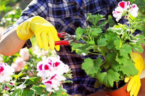 Annual review of modern slavery controls for Gardeners Biggin Hill