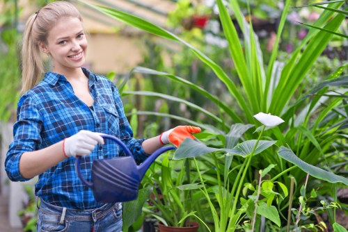 Image showing cookie policy information for Gardeners Biggin Hill