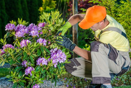 Gardeners Biggin Hill welcoming outdoor care and maintenance