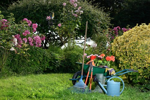 Healthy green lawn maintenance in Biggin Hill
