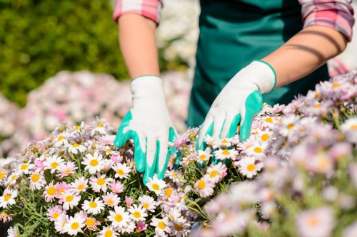 Professional garden upkeep in Biggin Hill for healthy outdoor spaces