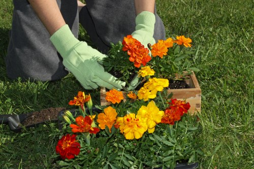 Lawn care and hedge trimming as part of Biggin Hill gardening services