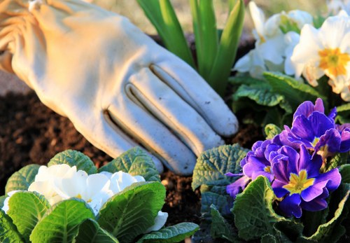 Professional garden waste removal in Biggin Hill