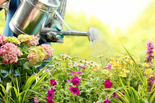Well-kept lawn care services in Biggin Hill