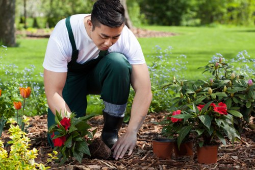 Professional garden specialists working on a landscaped residential garden