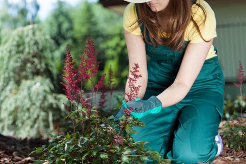 Reliable gardeners in Biggin Hill improving a well-kept outdoor space