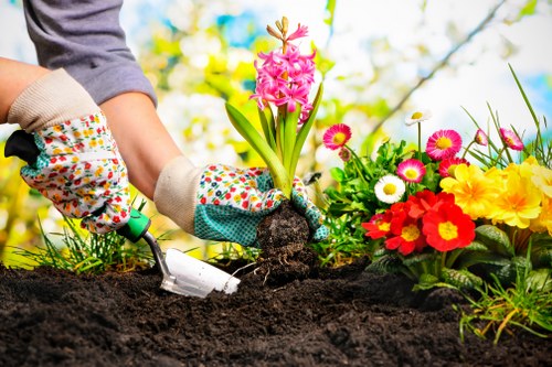 Seasonal planting and garden maintenance in Biggin Hill
