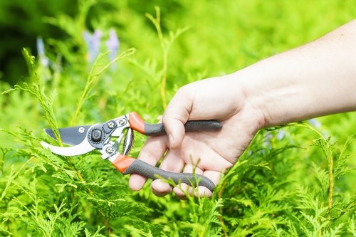 Experienced gardeners in Biggin Hill working on lawns and planting