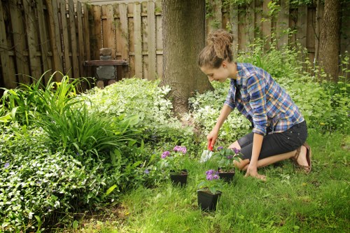 Seasonal garden waste and debris collection in Biggin Hill