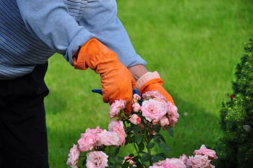 Risk assessment being carried out during garden work