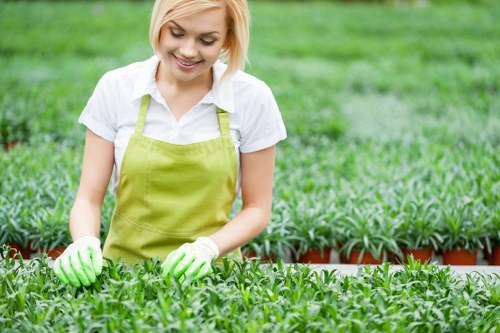 Reviewing a gardening service concern with care