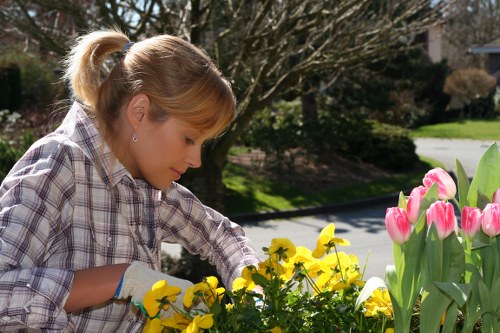 Seasonal lawn care and mowing in Biggin Hill