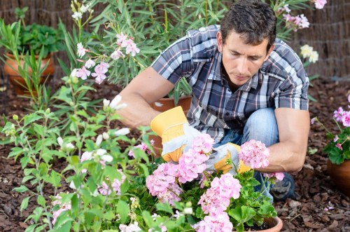 Professional garden maintenance in Biggin Hill with trimmed hedges