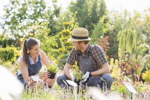 Spring lawn treatment and recovery in Biggin Hill