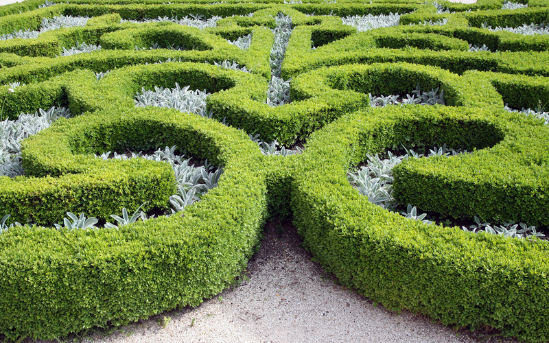 garden lawn